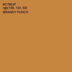 #C7863F - Brandy Punch Color Image